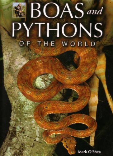 Купить книга: boas and pythons of the world автор: mark o'shea, большой выбор и полезная информация по содержанию - Питомник экзотических Животных "ReptoMix Laboratory"